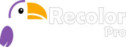 RecolorPro Logo